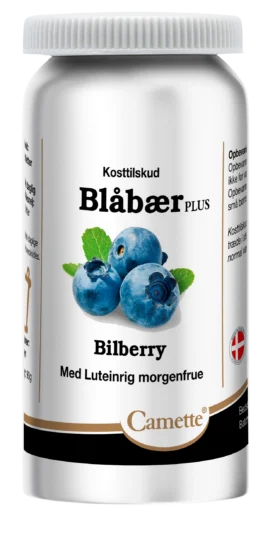 Camette Blåbær