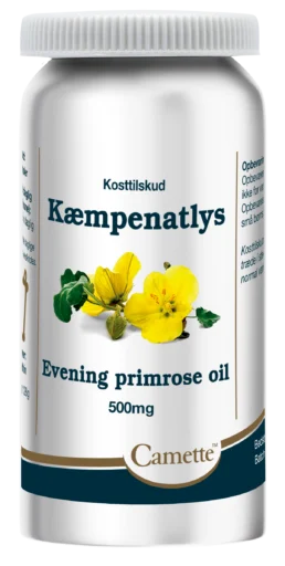 Camette Kampenatlys