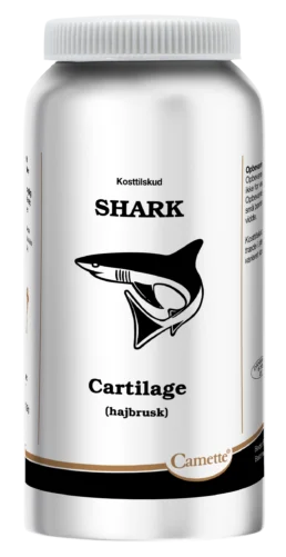 Camette Shark